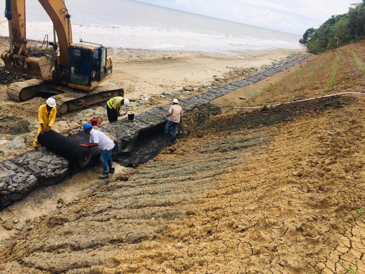 Quinam Beach Coastal Restoration 7